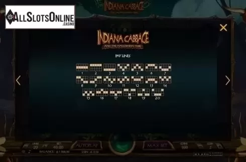 Paylines. Indiana Cabbage from We Are Casino