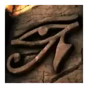 icon 9