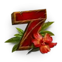 icon 5