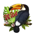 icon 2