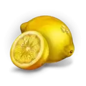 icon 6