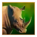 icon 3