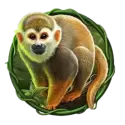 icon 3