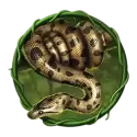 icon 5