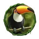 icon 4