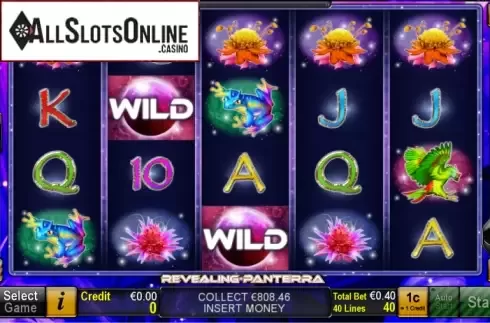 Win Screen. Revealing Panterra from Novomatic