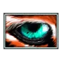 icon 9