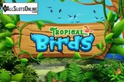 Tropical Birds