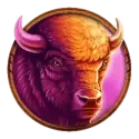 icon 5