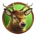 icon 4