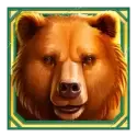 icon 2
