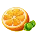 icon 5
