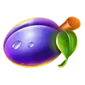 icon 4