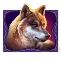 icon 5