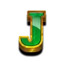 icon 9
