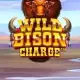 Wild Bison Charge