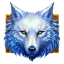 icon 10