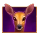 icon 2