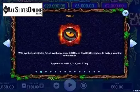 Wild screen