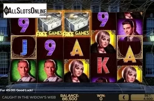 Game workflow 2. Caught in the Widow's Web from High 5 Games