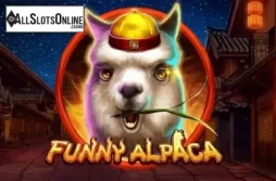 Funny Alpaca