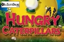 Hungry Caterpillars