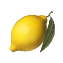 icon 10