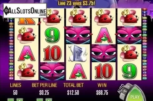 Screen4. Miss Kitty from Aristocrat
