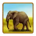 icon 2