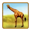 icon 3