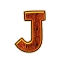 icon 9