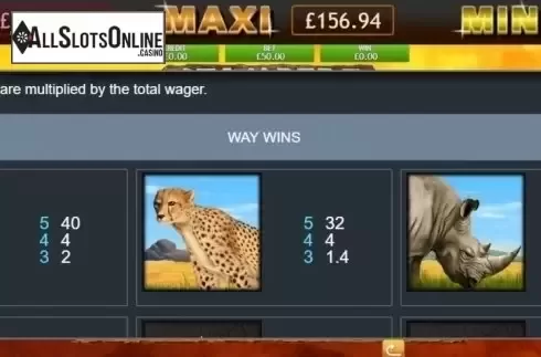 Paytable. Stampede Jackpot from Eyecon