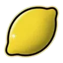 icon 6