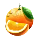 icon 7