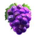 icon 5