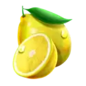 icon 6