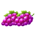 icon 4