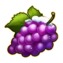 icon 5