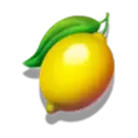 icon 5