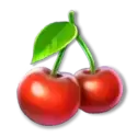 icon 10