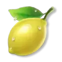 icon 5