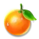 icon 7
