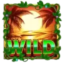 icon 9