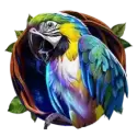 icon 4