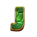 icon 9