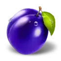 icon 9