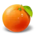 icon 7