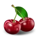 icon 10