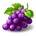 icon 4