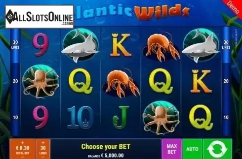 Reel Screen. Atlantic Wilds from Gamomat